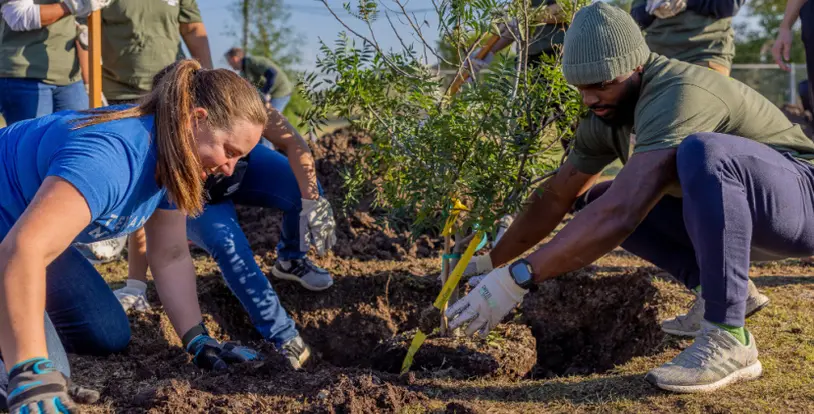 Tree planting Trees for Texas